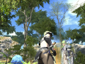 ffxiv_24112015_160036