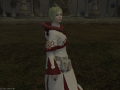 ffxiv_24122015_151409