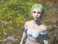 ffxiv_25022016_191055