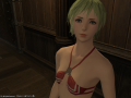 ffxiv_25072015_232105