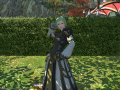ffxiv_25082015_223342