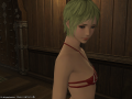 ffxiv_25082015_231051
