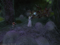 ffxiv_25092015_174252