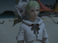 ffxiv_25112016_142050