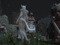 ffxiv_26012016_162527