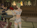 ffxiv_27022016_185947