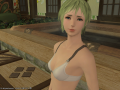 ffxiv_27072015_155001