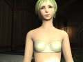 ffxiv_29072015_130013