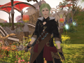 ffxiv_30112015_151040