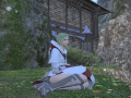 ffxiv_30122015_135551