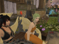 ffxiv_31072015_195103