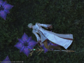 ffxiv_31072015_201330