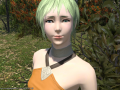 ffxiv_31072015_205334