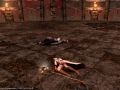 ffxiv_31072015_224332