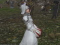 ffxiv_31082015_222145