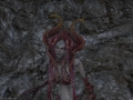 ffxiv_01072017_150342