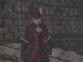 ffxiv_01072017_170840