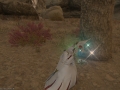 ffxiv_19062017_153039