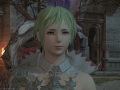 ffxiv_19062017_212352
