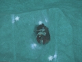 ffxiv_19062017_220345