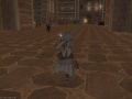 ffxiv_19062017_220735
