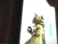 ffxiv_19062017_222005