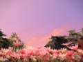 ffxiv_20062017_012858