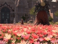 ffxiv_20062017_012931