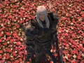 ffxiv_20062017_013942