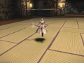 ffxiv_22062017_114205