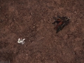 ffxiv_26032019_092045_283