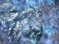 ffxiv_26032019_095838_603