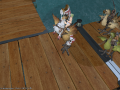 ffxiv_01052015_231617.png