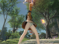 ffxiv_03022015_112617.png