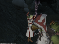 ffxiv_03052015_135656.png