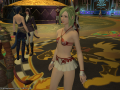 ffxiv_04032015_160807.png