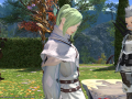 ffxiv_04032015_195223.png