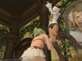 ffxiv_04052015_003602.png