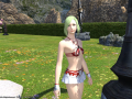 ffxiv_04062015_002649.png