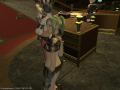 ffxiv_05052015_233411.png