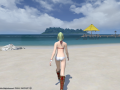 ffxiv_05062015_134439.png