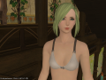 ffxiv_07032015_190535.png