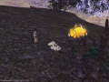 ffxiv_08032015_170138.png