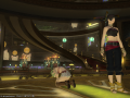 ffxiv_08032015_225015.png