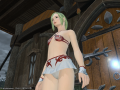 ffxiv_08052015_122601.png