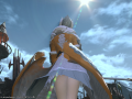 ffxiv_09022015_233832.png