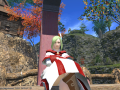 ffxiv_09032015_115836.png