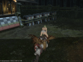 ffxiv_09032015_143948.png