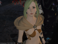 ffxiv_09032015_172343.png