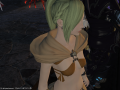 ffxiv_09032015_172346.png